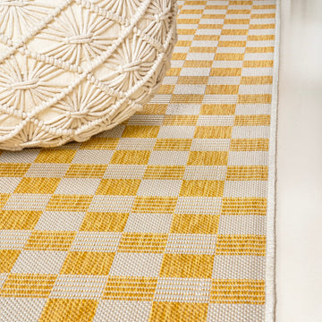 Aimee Traditional Cottage Checkerboard Indoor/Outdoor Area Rug